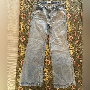 Lane Bryant Light Blue Flare Jeans